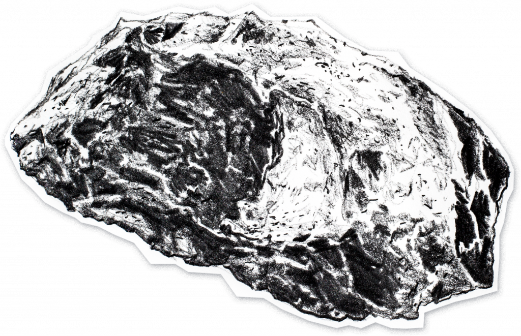 CORPORATE DESIGN
für MARTO VINES
(2016 bis heute)